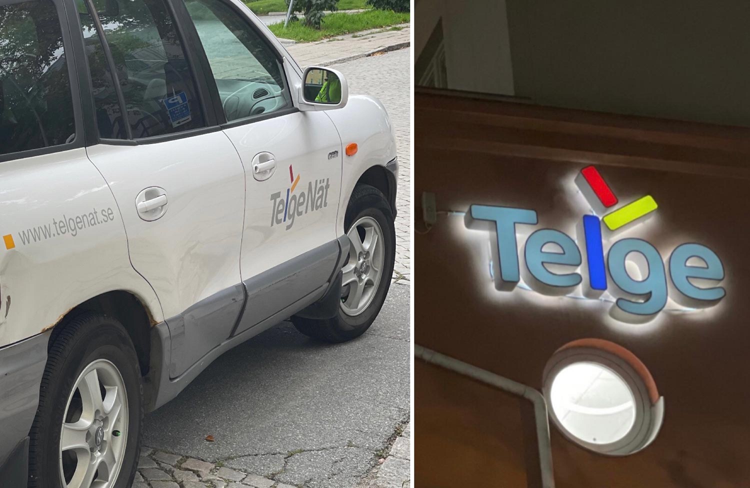 Telge nät
