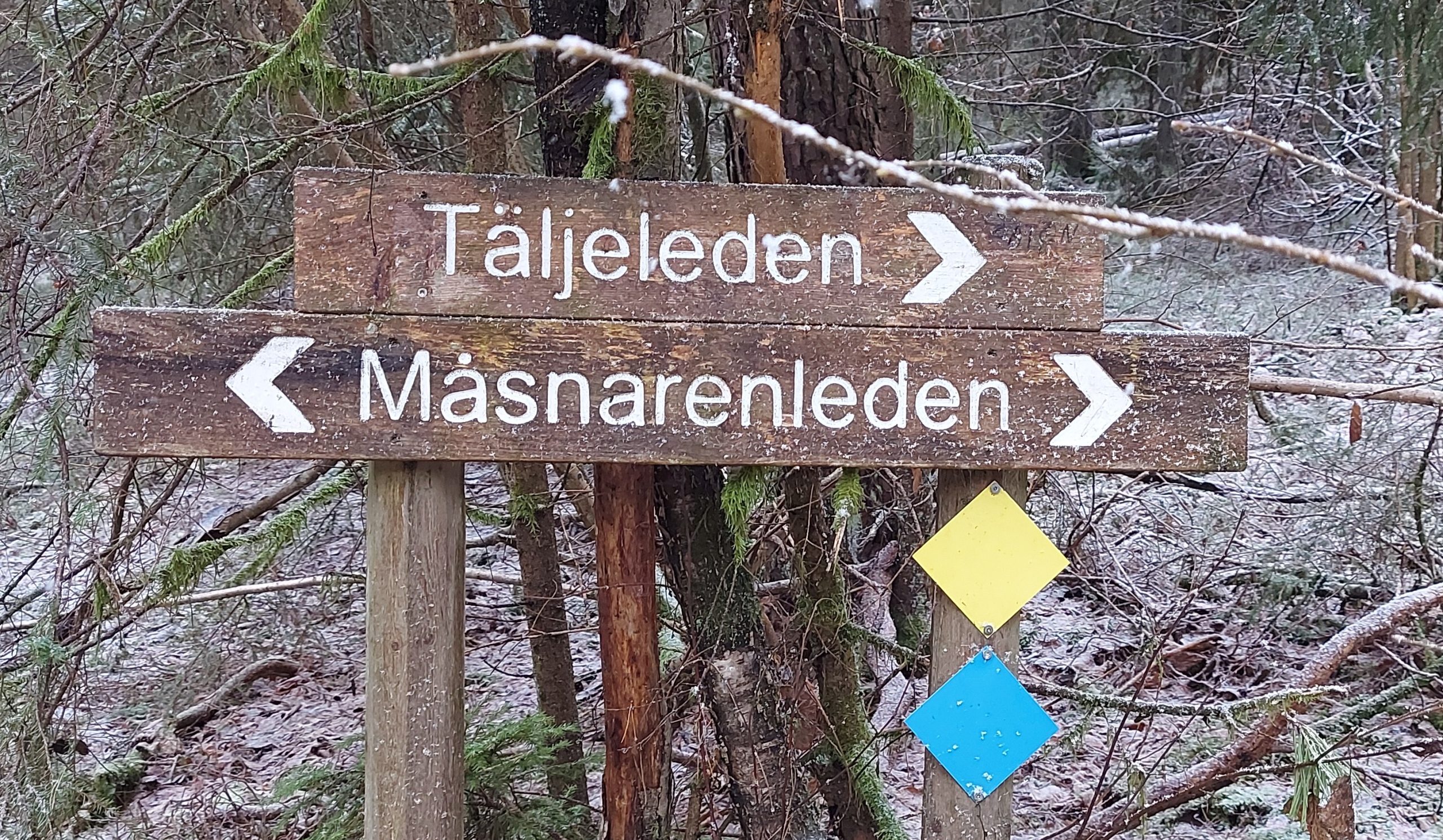 Telgeleden