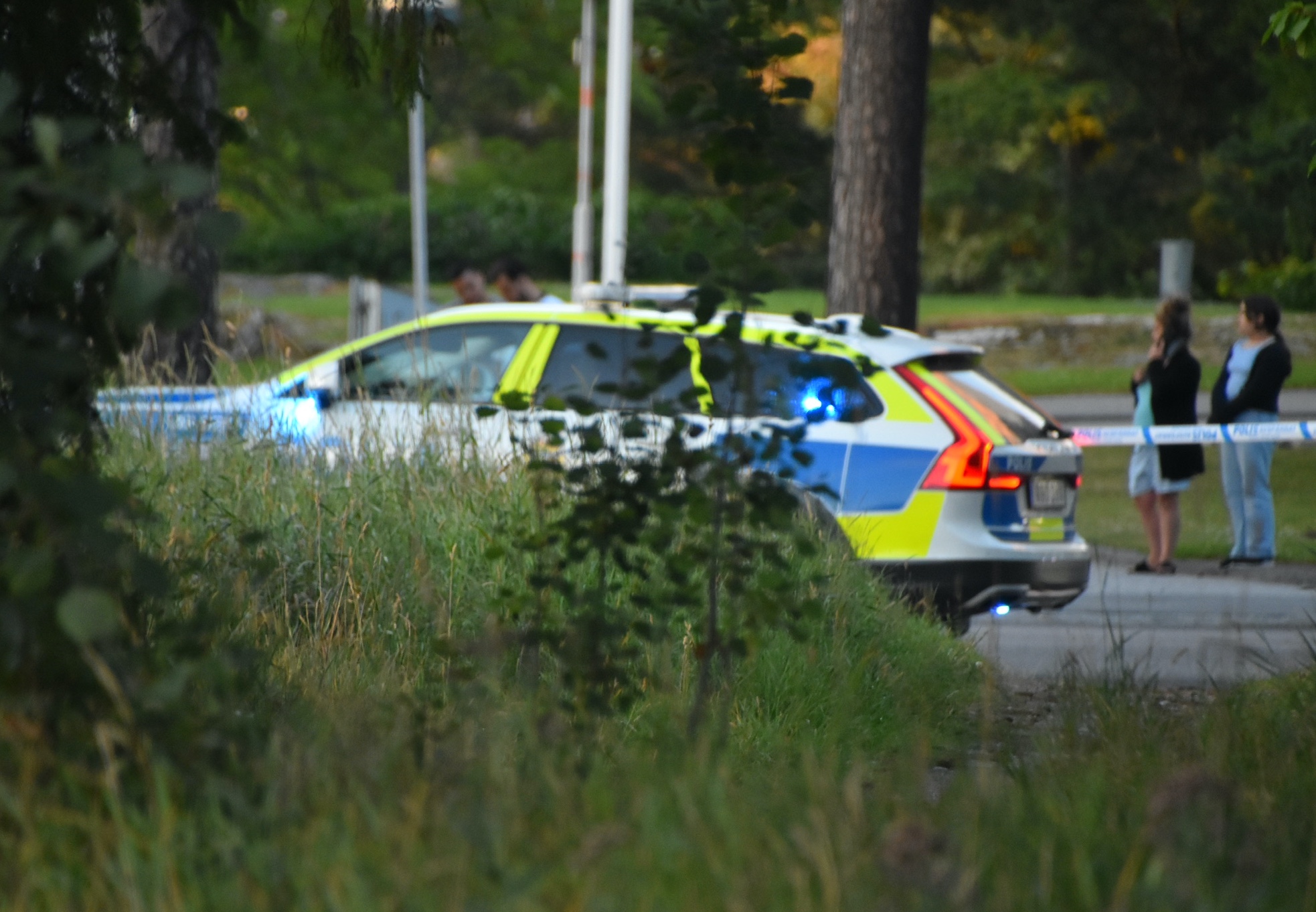 Polis-3