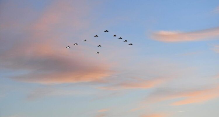 2021_12_julgransflygning-blekinge-1