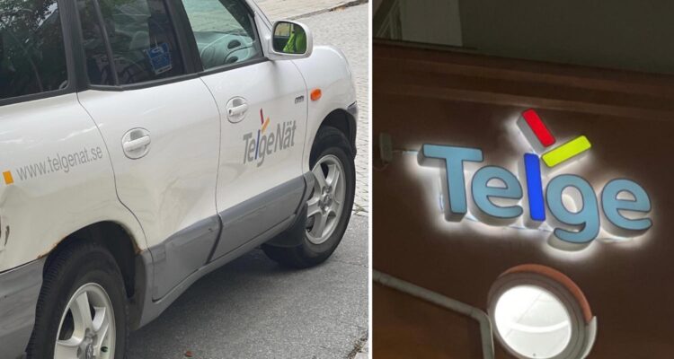 Telge nät