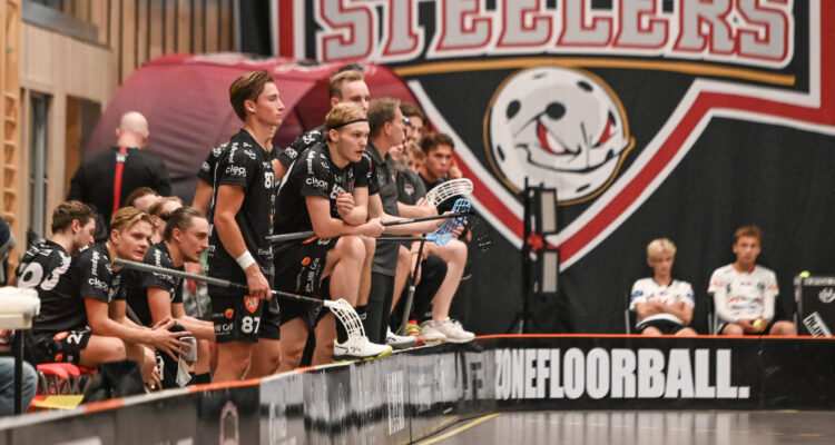 Svenska superligan SSL Nykvarn Steeles vs Storvreta IBK