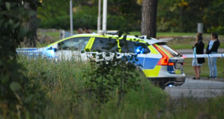 Polis-3