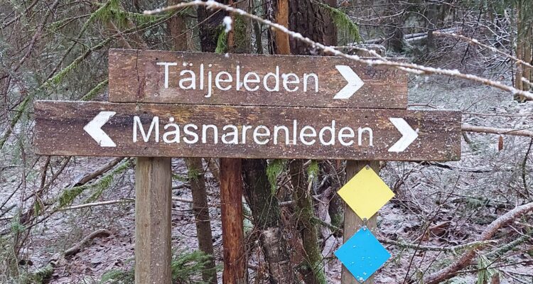 Telgeleden